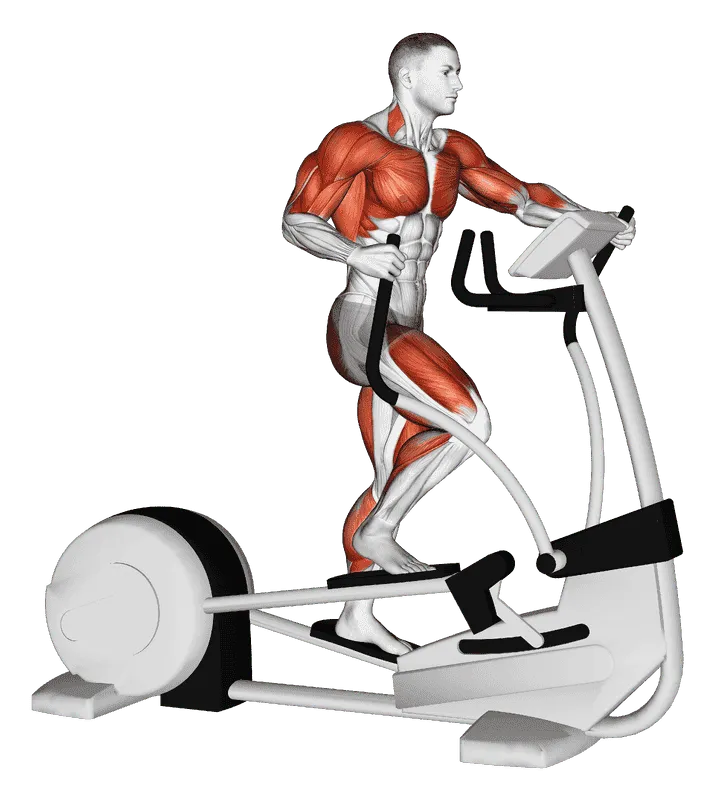 Elliptical Cross Trainer