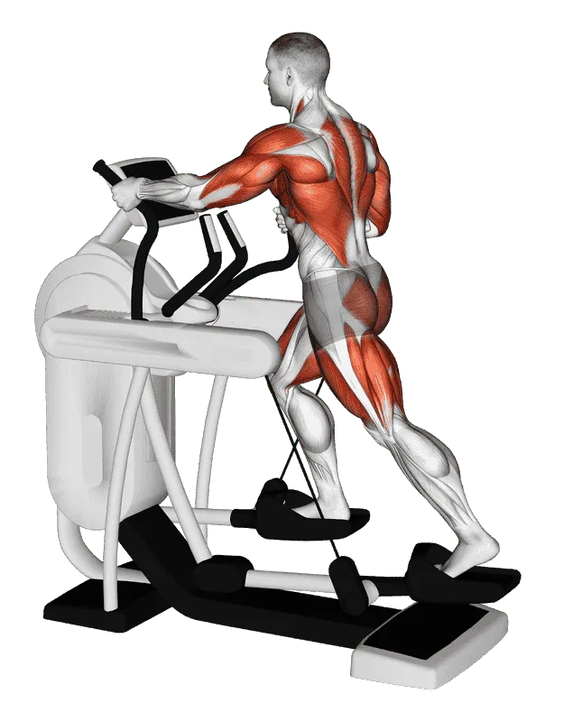 Elliptical Machine Walk, Male demonstration, Start