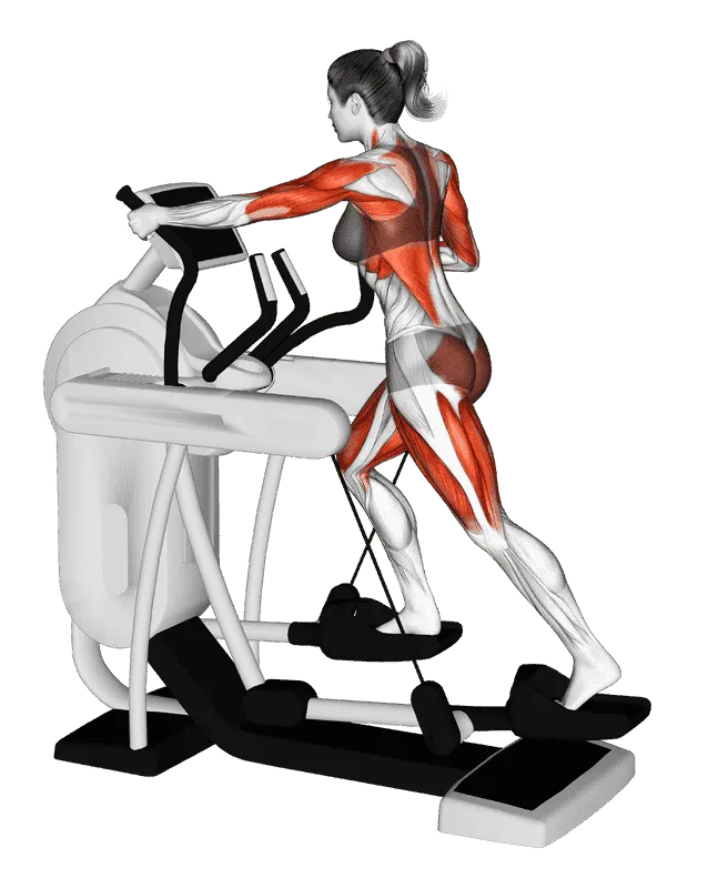 Elliptical Machine Walk, Female demonstration, Start