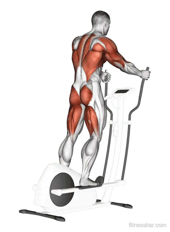 Elliptical Machine Walking