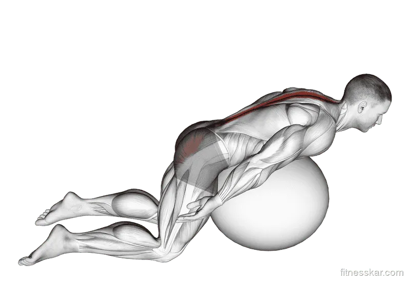 Exercise Ball Back Extension With Arms Extended