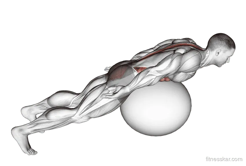 Exercise Ball Back Extension with Rotation