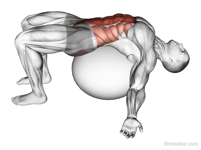 Exercise Ball Back Stretch