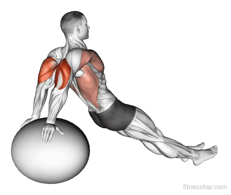 Exercise Ball Dip, Male demonstration, Start