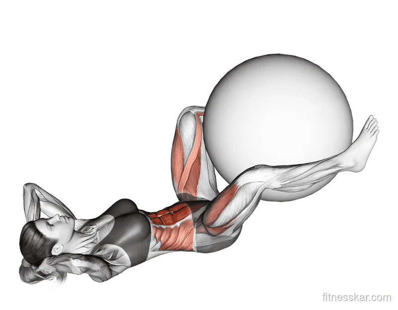 Exercise Ball Frog Crunch, Female demonstration, Start