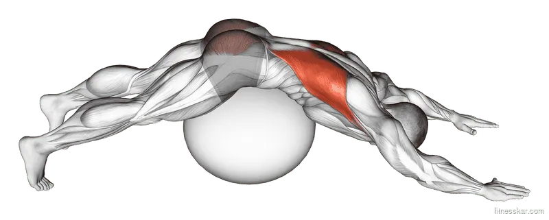 Exercise Ball Lower Back Prone Stretch - Start