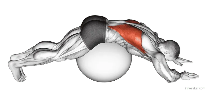 Exercise Ball Lower Back Stretch (Pyramid)