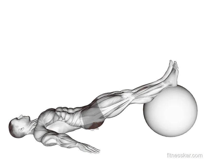 Exercise Ball One-Legged Diagonal Kick Hamstring Curl, Male demonstration, Start