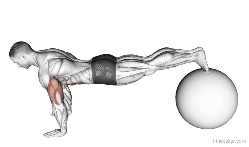 Exercise Ball Pike Pushup