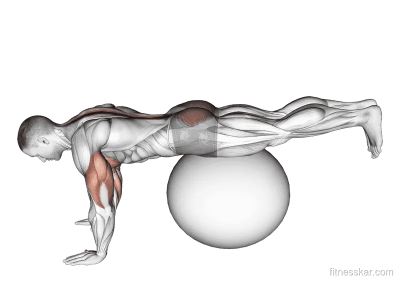 Exercise Ball Prone Leg Raise