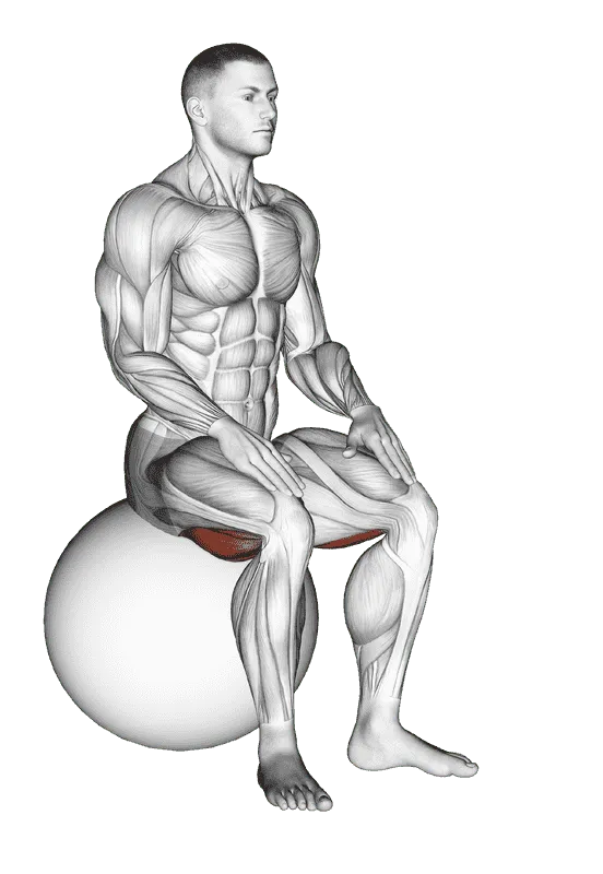 Exercise Ball Seated Hamstring Stretch, Male demonstration, Start