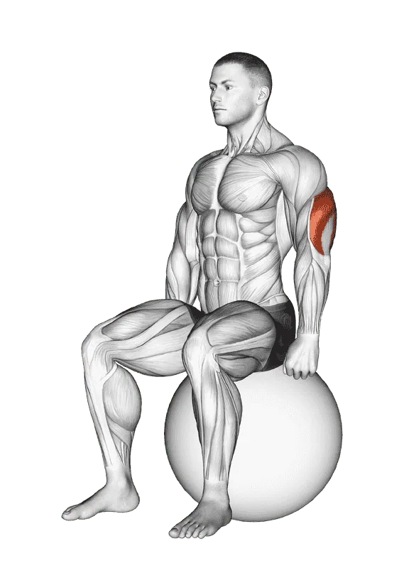 Exercise Ball Seated Triceps Stretch, Male demonstration, Start