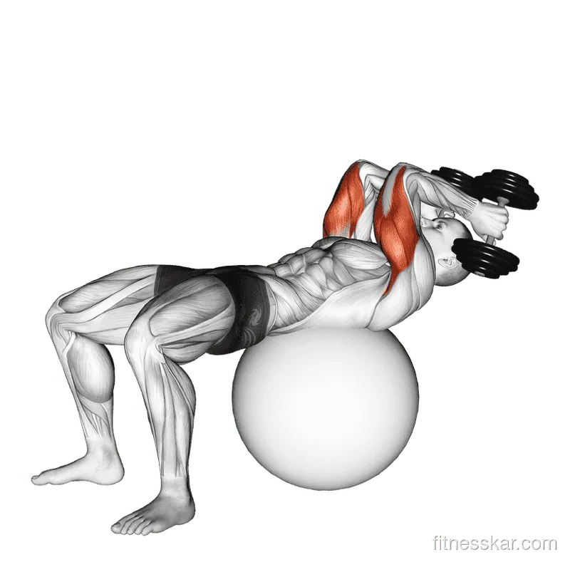 Exercise Ball Supine Triceps Extension