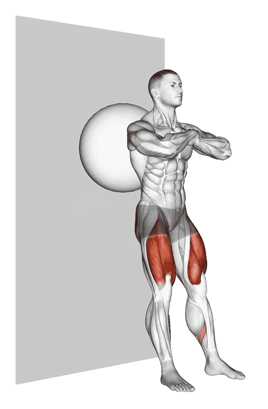 Exercise Ball Wall Squat, Male demonstration, Start