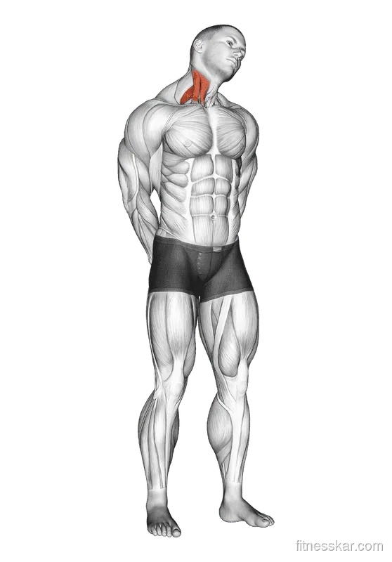 Extension and Inclination Neck Stretch, Male demonstration, Start