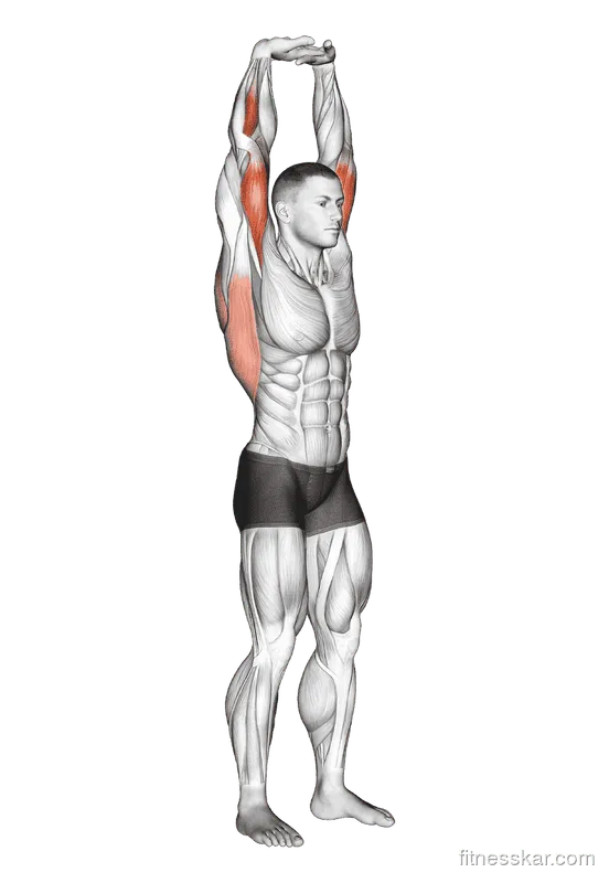 Extension of Arms in Vertical Stretch, Male demonstration, Start