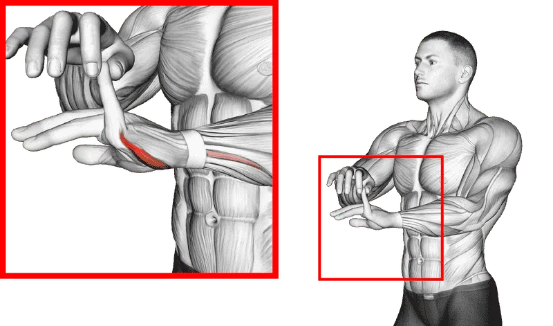 Finger Extension Stretch