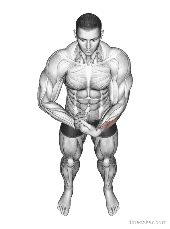 Finger Extensor Stretch, Male demonstration, Start