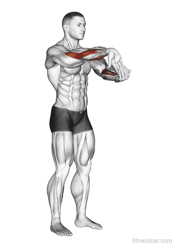 Fingers Down Forearm Stretch