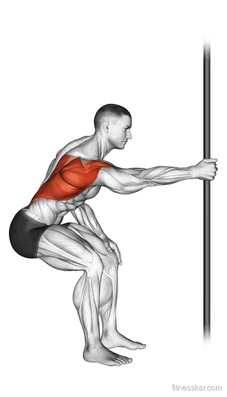 Fixed Bar Back Stretch