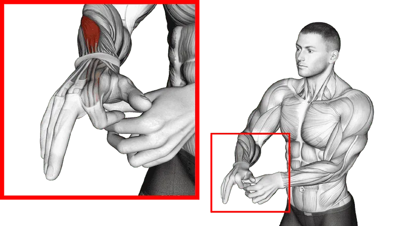 Flexion Finger Stretch, Male demonstration, Start