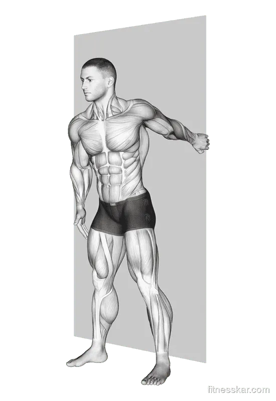 Forearm Pronator Stretch