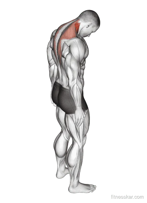 Forward Flexion Neck Stretch, Male demonstration, Start