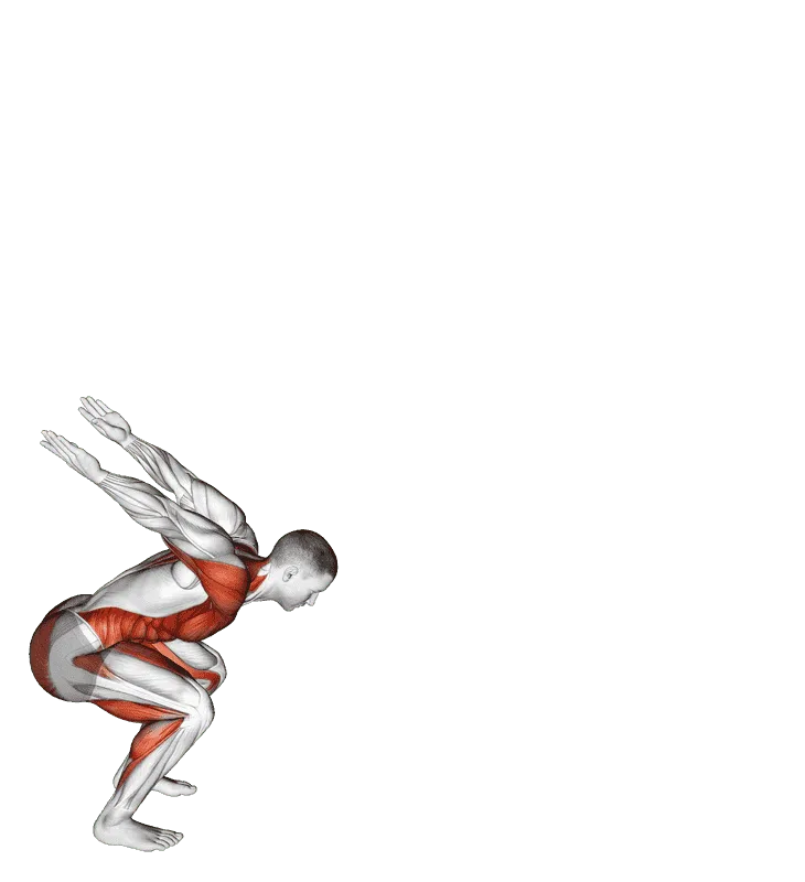 Forward Jump (Plyometric), Male demonstration, Start