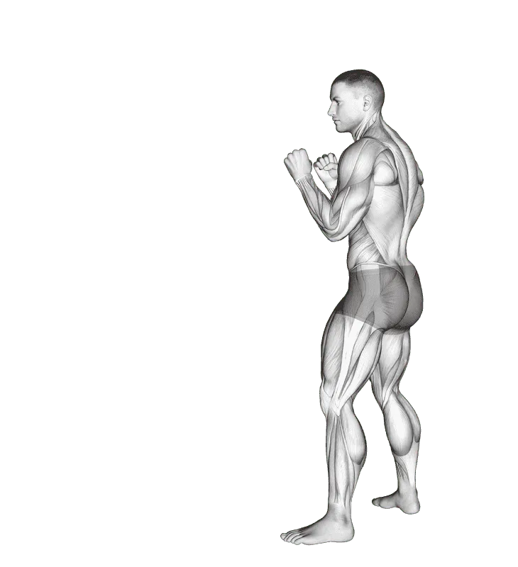 Front Groin Kick, Male demonstration, Start