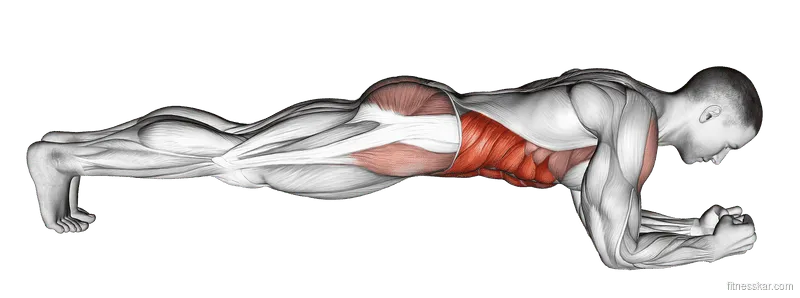 Front Plank, Male demonstration, Start