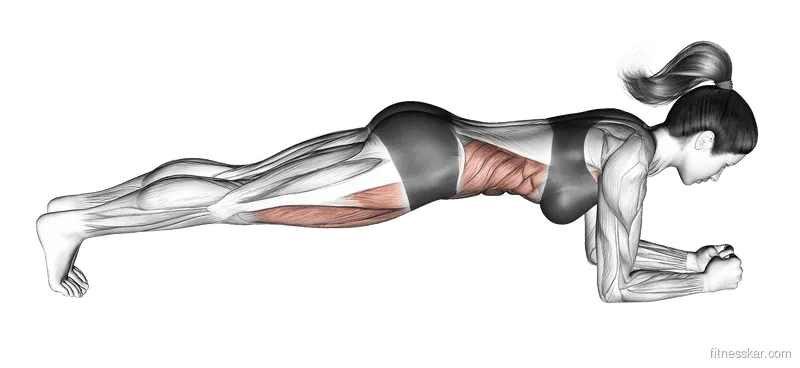 Front Plank, Female demonstration, Start