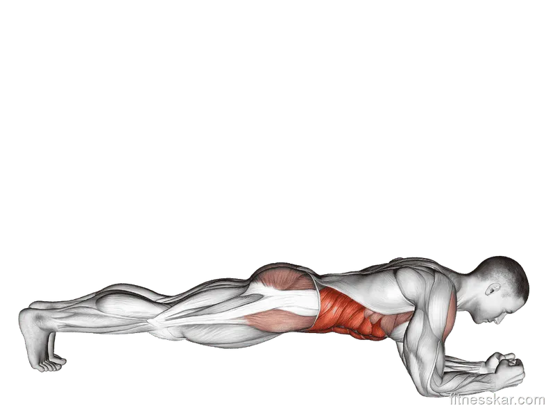 Front Plank with Twist
