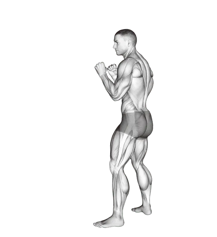 Front Snap Kick, Male demonstration, Start