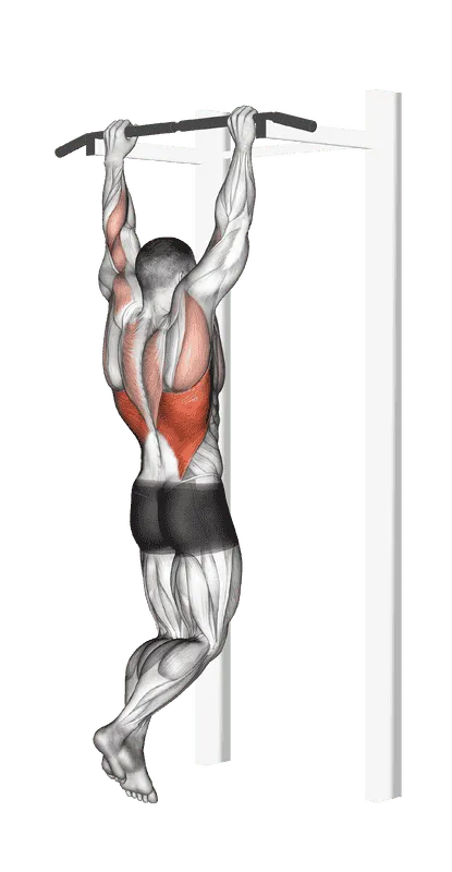 Gironda Sternum Chin-Up