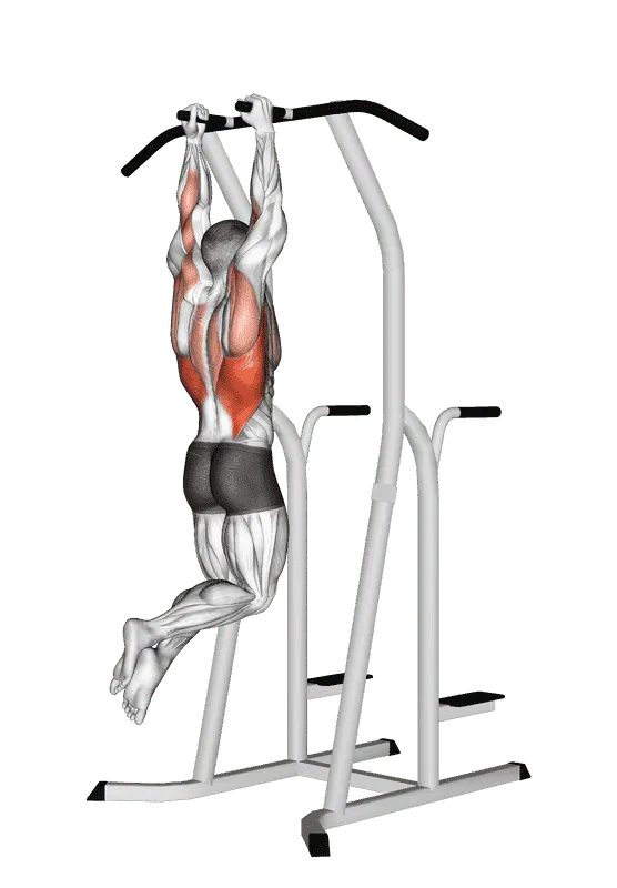 Hammer Grip Pull-Up on Dip Cage