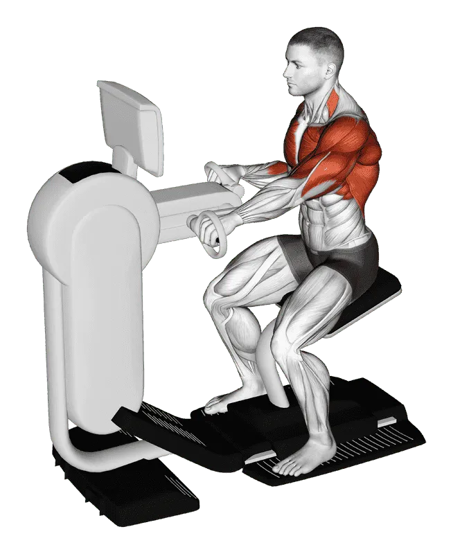 Hand Bike Cardio