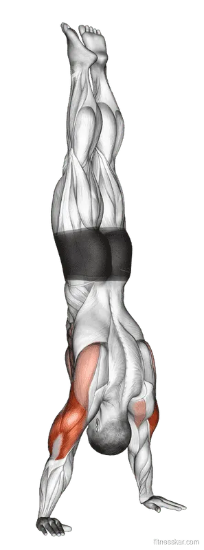 Handstand Push-Up