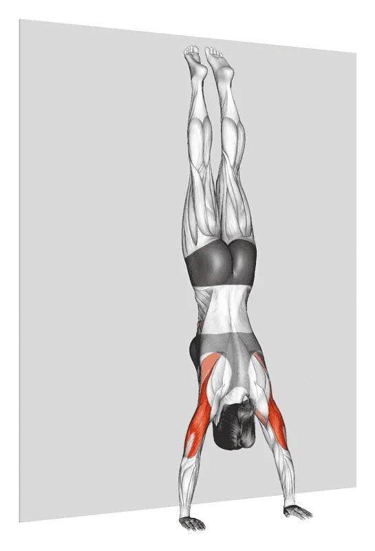 Handstand Push-Up, Female demonstration, Start