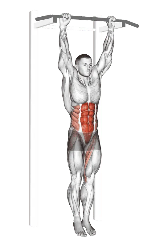Hanging Leg Hip Raise