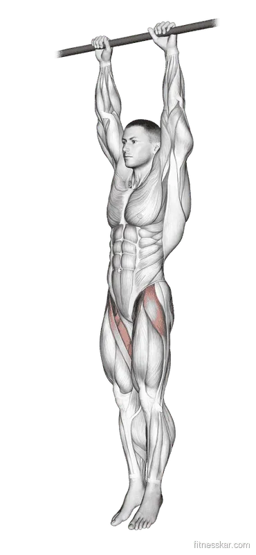 Hanging Leg Raise