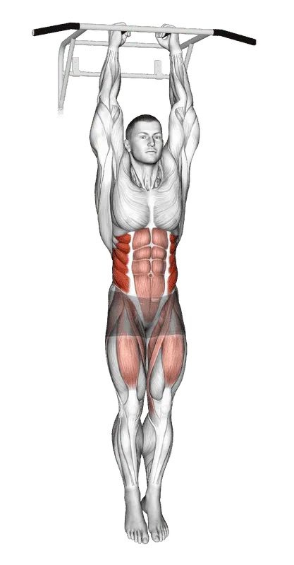 Hanging Oblique Knee Raise
