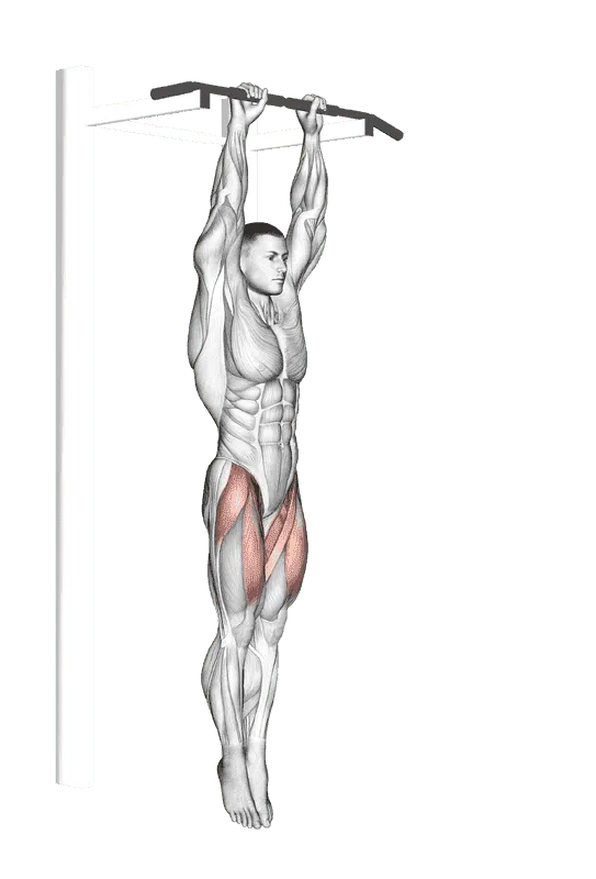 Hanging Straight Leg Raise
