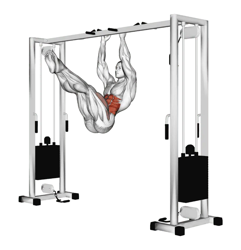 Hanging Straight Twisting Leg Hip Raise