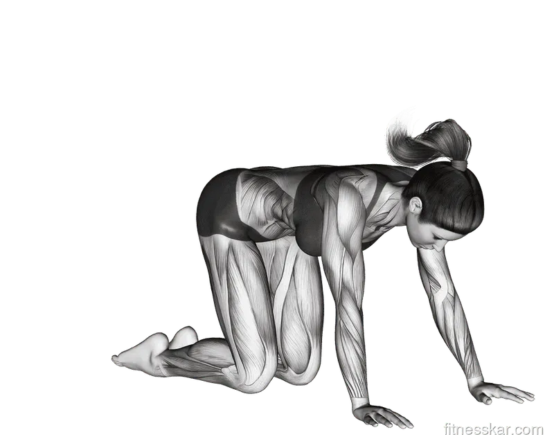 Hero Pose (Virasana)
