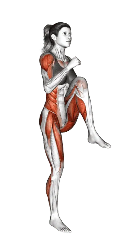 High Knees