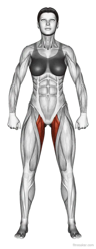 Hip Adductor Stretch, Female demonstration, Start