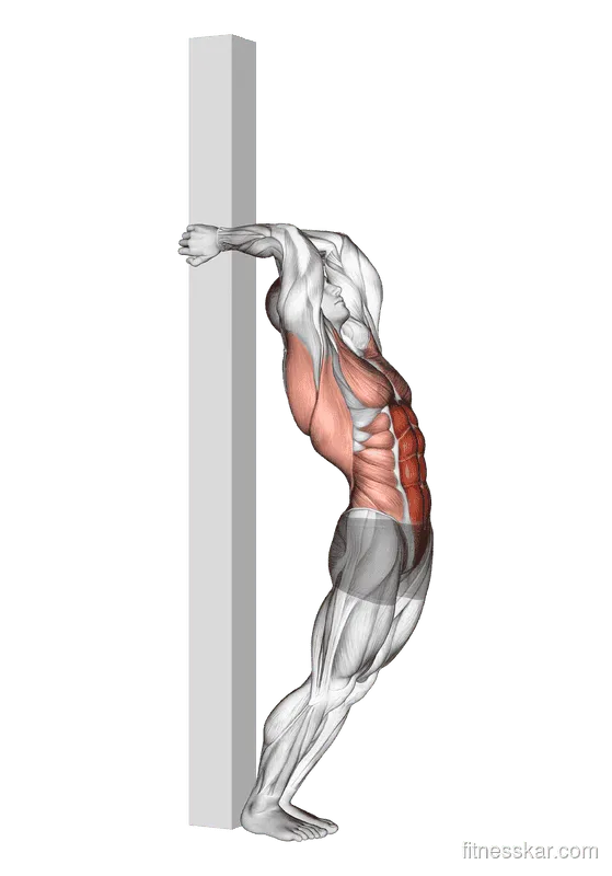 Hip Extension Supported From Back, Male demonstration, Start