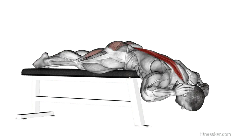 Hyperextension (on bench)