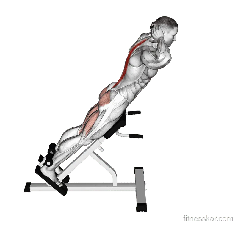 Hyperextension