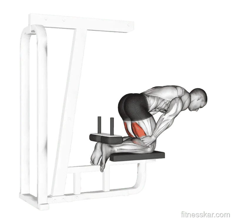 Inverse Leg Curl (Bench Support), Male demonstration, Start